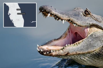 புளோரிடா ஏரியில் முதலை தாக்கியதில் பெண் பலி! விலங்கை பிடிக்கும் முயற்சி தீவிரம்!