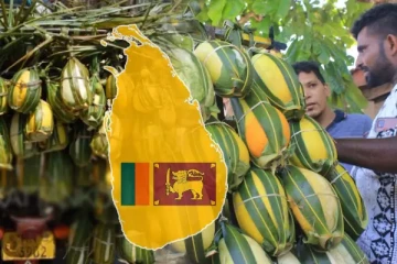 திடீரென சூடுபிடித்த வெள்ளரிப்பழ விற்பனை: கொள்வனவிற்காக குவியும் மக்கள்