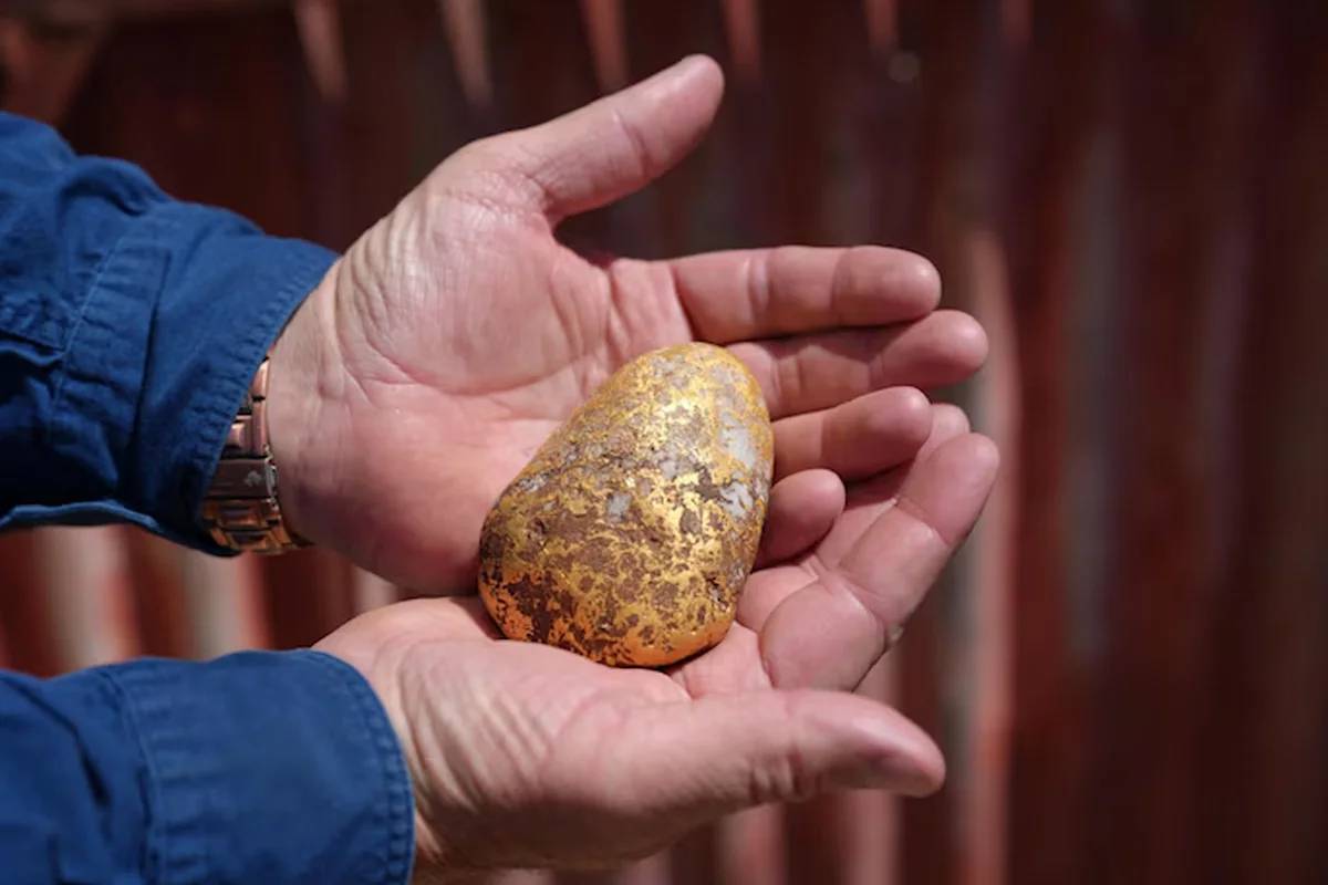 நிலத்தை தோண்டும் போது கிடைத்த 1.2 கிலோ தங்கம் | Australia Man Unearths 1 2 Kg Gold Nugget