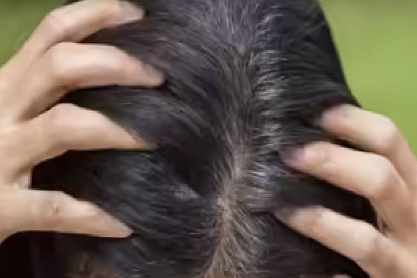காலையில் வெறும் வயிற்றில் கறிவேப்பிலை நீர் குடிப்பதால் இத்தனை நன்மைகளா? | Curry Life Water Early Morning Kutippathan Nanmai
