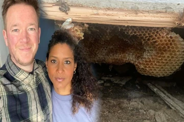 வீட்டுச் சுவர்களில் வழிந்த திரவம்... பிரித்தானிய தம்பதியருக்கு காத்திருந்த ஆச்சரியம்