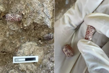 கீழடியில் கார்னிலியன் மணிகள்; பொக்கிஷம் கண்டுபிடிப்பு - அசந்துபோன ஆய்வாளர்கள்!