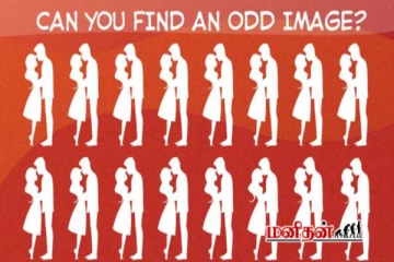 Optical illusion: ஒரே மாதிரியான காதல் ஜோடியில் வித்தியாசமான காதல் ஜோடி எது?
