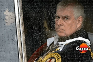 ඇන්ඩෘ කුමරු ගෞරව නාමයන් හා තනතුරු අත්හැර දමයි