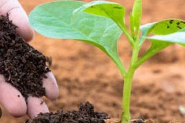 කාබනික පොහොර සහනාධාරය තවත් දෙපිරිසකට.