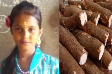 மரவள்ளிக்கிழங்கை சாப்பிட்ட சிறுமிக்கு நேர்ந்த சோகம்.., என்ன நடந்தது?