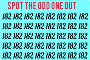 Optical illusion:கண்களுக்கு வித்தை காட்டும் படத்தில் இலக்கம் '132' எங்கே உள்ளது