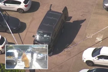 லண்டனில் பயங்கரம் : Hainault-லில் நடந்த தாக்குதல்: 14 வயது சிறுவனுக்கு ஏற்பட்ட துயரம்