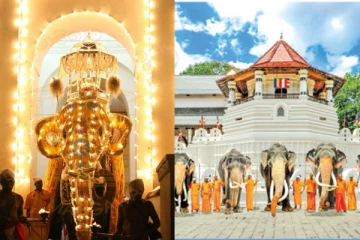 දළදා පෙරහැරේ යන ඇතුන්ගේ අමුතුම තාලෙ වැඩ.