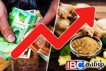 நாட்டில் உச்சம் தொட்ட இஞ்சி விலை...!