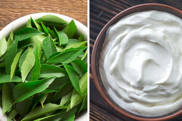 yogurt curry leaves