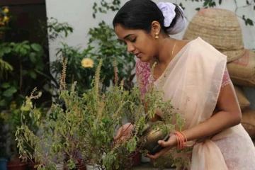 துளசியை தினமும் வழிபாடு செய்வது ஏன் தெரியுமா?