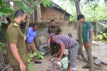 மட்டக்களப்பு மாவட்டத்தில் அதிகரிக்கும் டெங்கு நோய் பரவல்