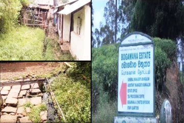 நுவரெலியாவில் டெங்கு நுளம்பு பரவும் அபாயம்: பொதுமக்கள் விசனம்