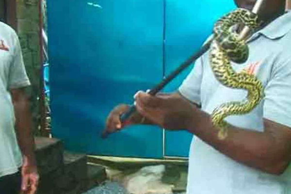 தெஹிவளை தேசிய மிருகக்காட்சிசாலையில் காணாமல் போன 