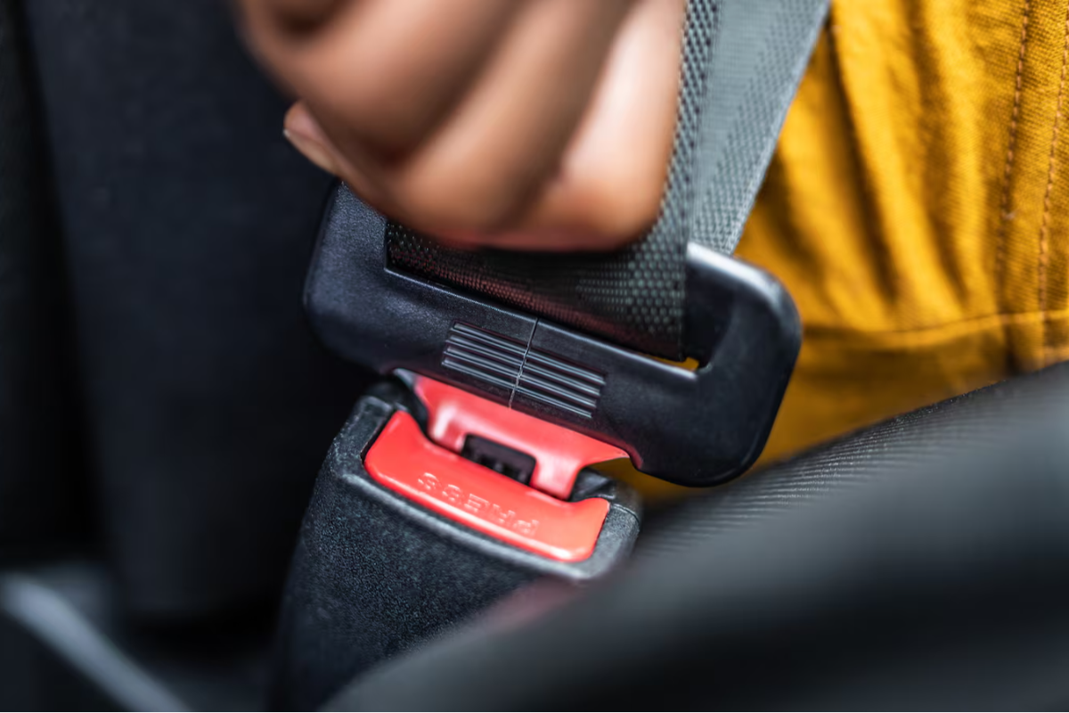 கனடாவில் வாகன சாரதிகளுக்கு எச்சரிக்கை | Fines For No Seatbelts To Increase By Nearly 50 In