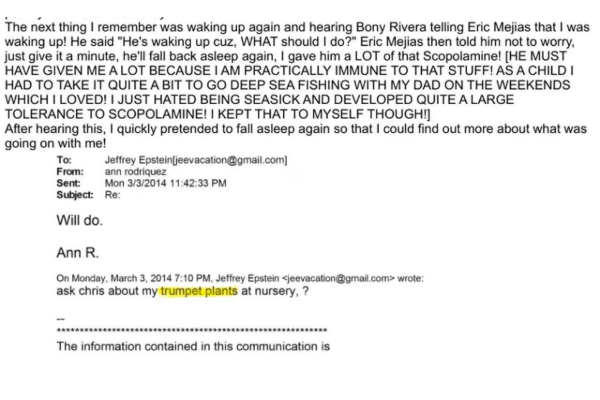 trumpet plant in epstein file