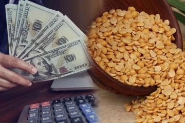 வீட்டில் பணப்புழக்கத்தை அதிகரிக்கும் துவரம் பருப்பு - கட்டாயம் தெரிஞ்சிக்கோங்க