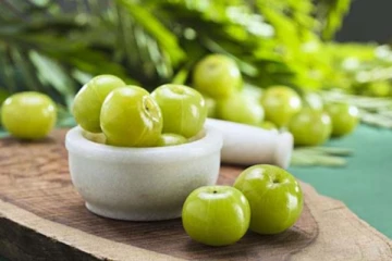 தேவையற்ற கொழுப்பினால் அவதிப்படுகின்றீர்களா? நெல்லிக்காய் செய்யும் அற்புதம்