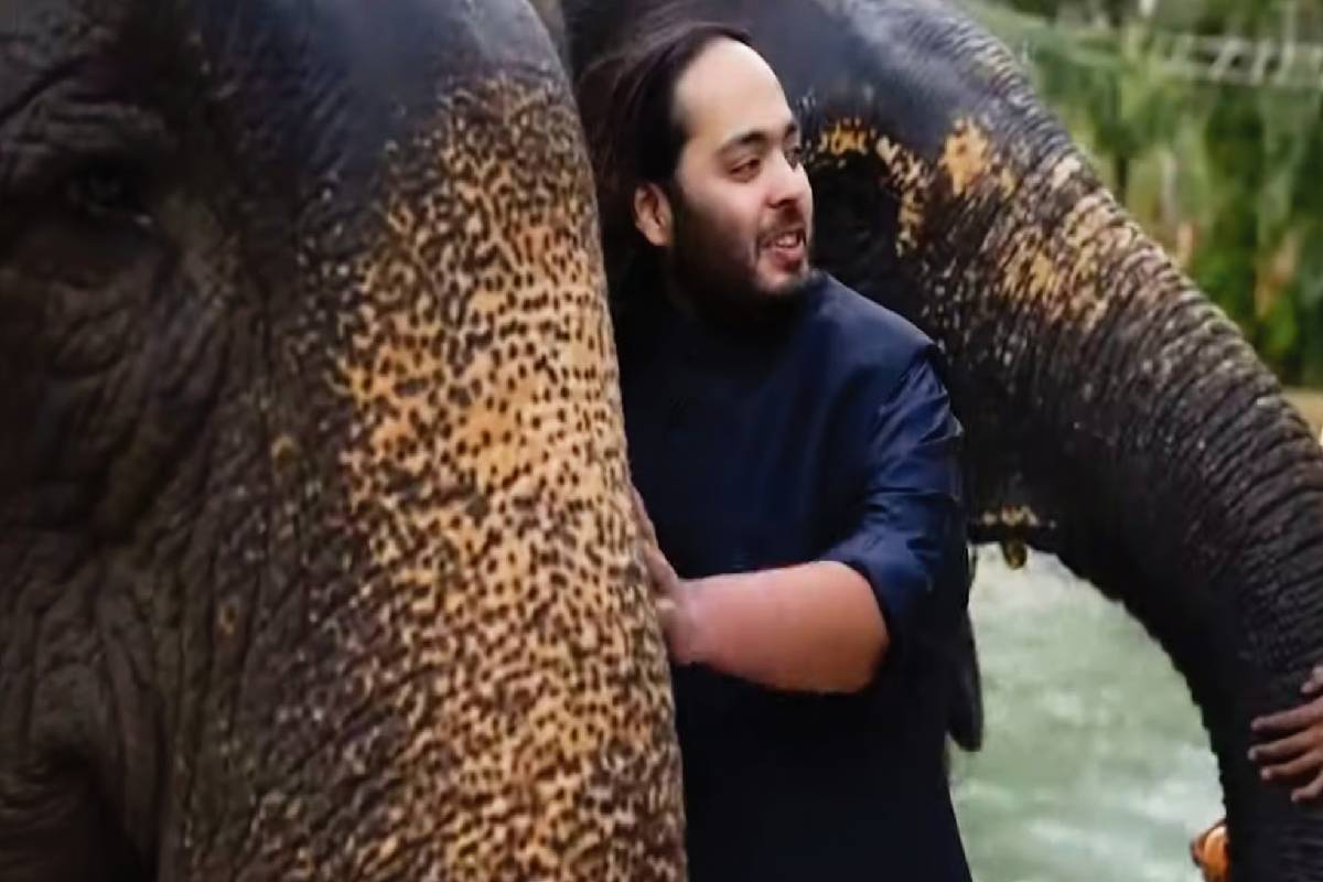 ஆனந்த் அம்பானி பிறந்தநாளை முன்னிட்டு யானைகளுக்கு 3000kg பழ விருந்து! | Anant Ambanis Birthday Fruit Buffet For Elephants