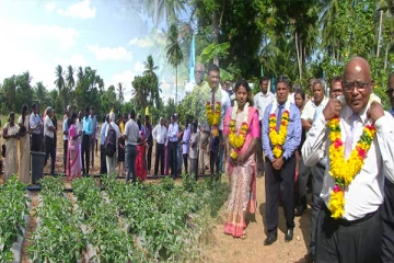 யாழ் பல்கலைக்கழகத்தின் சொட்டு நீர்ப்பாசன மரக்கறி செய்கை வெற்றி