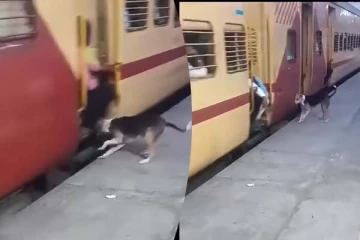 ரயில் படியில் பயணித்த நபர்கள்... நாய் கற்றுக்கொடுத்த பாடம்! வைரல் காணொளி