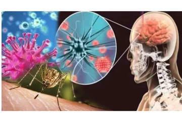 ஒரிசாவில் 5 மாணவர்களுக்கு ஜப்பானிய மூளைக் காய்ச்சல் கண்டுபிடிப்பு...!