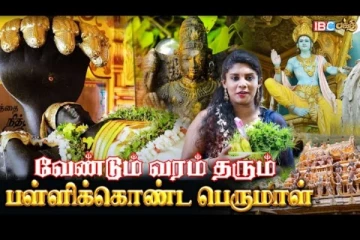 முதன்முதலாக இலங்கையில் கட்டப்பட்ட விஷ்ணு கோவில் - பல சுவாரஸ்யம் கொண்ட தகவல்!