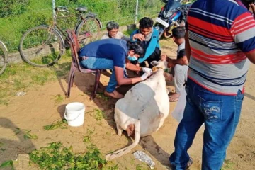 கிளிநொச்சியில் கால்நடை வைத்திய குழுவினரின் நெகிழ்ச்சி செயல்!