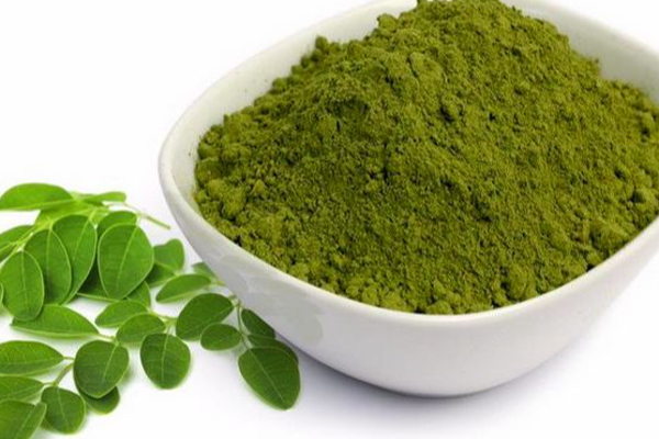 முருங்கை இலையில் ஒளிந்துள்ள அற்புத மருத்துவ பலன்கள்! | Amazing Medicinal Benefits Hidden Drumstick Leaf