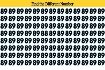 Optical illusion: படத்தில் '89' களில் மறைந்திருக்கும் வித்தியாச இலக்கம் எங்கே உள்ளது?