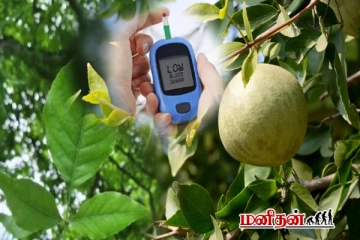 வெறும் வயிற்றில் 4 வில்வ இலைகள் - உடலுக்கு கிடைக்கும் நன்மை