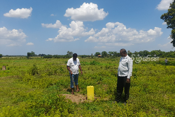 குருந்தூர் மலைப்பகுதியில் விவசாய நிலங்கள் ஆக்கிரமிப்பு! - சார்ள்ஸ் எம்.பி. நேரில் விஜயம் | Kurundur Hills Agricultural Land Issue