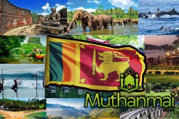 இலட்சக்கணக்கில் வந்து குவியும் சுற்றுலா பயணிகள்