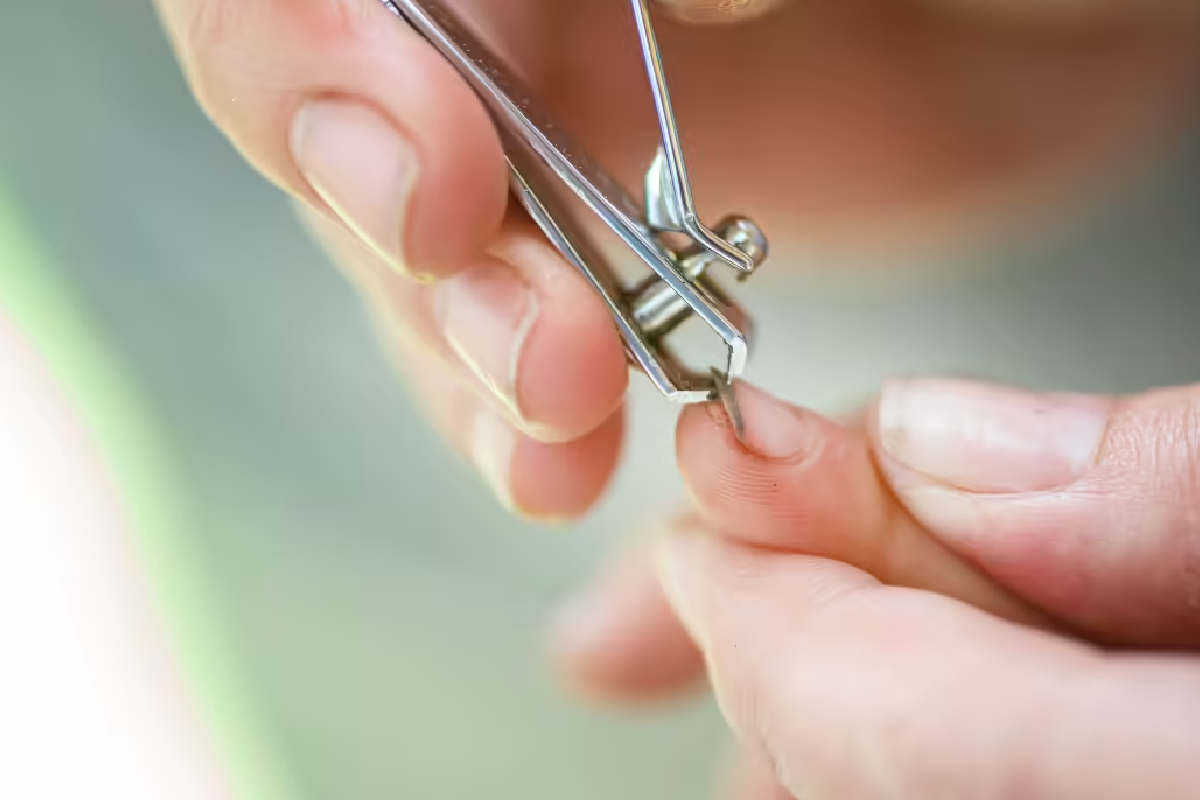 රෑට නියපොතු කපනවද? අදෘශ්යමාන අනතුරක් | Nail Clipping Myths And Beliefs At Night රෑට නියපොතු කපනවද? අදෘශ්යමාන අනතුරක් | Nail Clipping Myths And Beliefs At Night