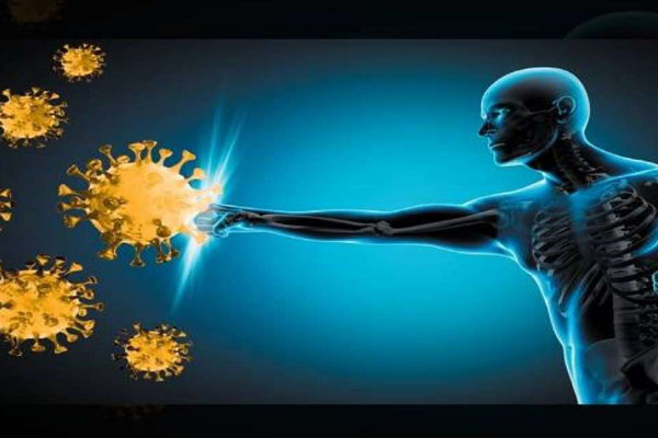 பிரியாணியில் சேர்க்கப்படும் இந்த பொருளில் இத்தனை நன்மைகளா? | Benefits Of Star Anise