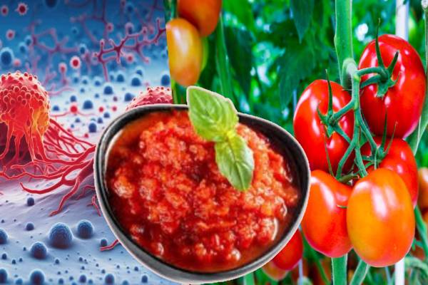 புற்றுநோய் செல்களை அழிக்கும் தக்காளி சட்னி! அஸ்ஸாம் பாணியில் எப்படி செய்வது? | Surprising Health Benefits Of Tomato Chutney