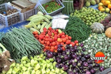 මෙන්න මොළේ - ආයේ එළවලු හොද ලාබෙට ලැබෙයි වගේ