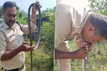 மயங்கிய பாம்புக்கு உயிர் கொடுத்த காவல்துறை அதிகாரி (காணொளி)