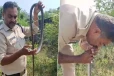 மயங்கிய பாம்புக்கு உயிர் கொடுத்த காவல்துறை அதிகாரி (காணொளி)