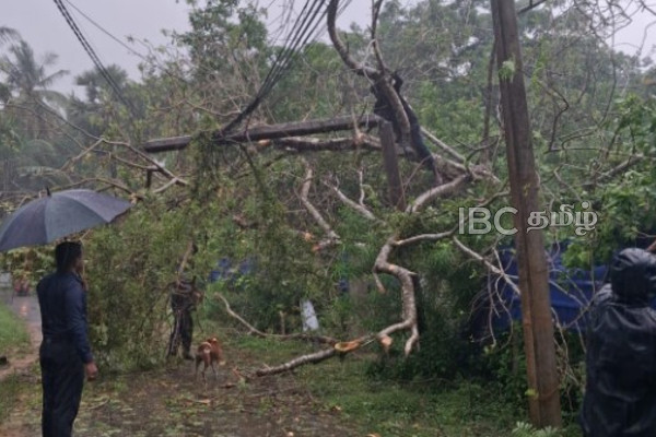 யாழில். நிலவும் மோசமான காலநிலை...! முறிந்து விழுந்த மரத்தால் போக்குவரத்து தடை | Heavy Rain And Thunder Weather In Jaffna Today யாழில். நிலவும் மோசமான காலநிலை...! முறிந்து விழுந்த மரத்தால் போக்குவரத்து தடை | Heavy Rain And Thunder Weather In Jaffna Today