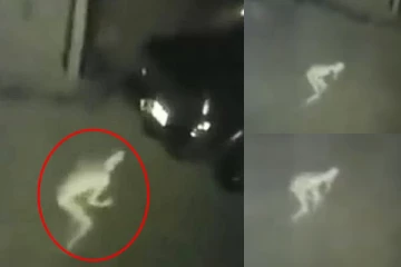 பாதுகாப்புக் கமராவில் பதிவாகிய அமானுஷ்ய உயிரினம்! வைரலாகும் காணொளி