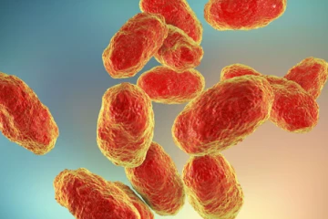 கனடாவில் பரவி வரும் பக்டீரியா குறித்து எச்சரிக்கை