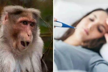 வேகமாக பரவும் குரங்கு காய்ச்சல்; எகிறும் உயிர் பலி - அறிகுறி, தடுப்பு வழிகள் என்ன?