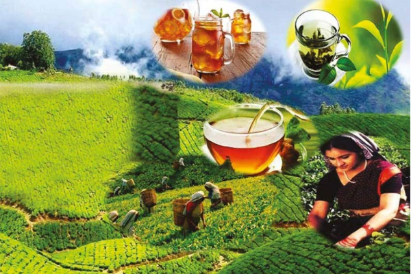ரூபாவின் பெறுமதியில் திடீர் அதிகரிப்பு - சடுதியாக மற்றுமொரு விலை குறைப்பு..! | Price Of Tea Powder Has Decreased By Rs 200