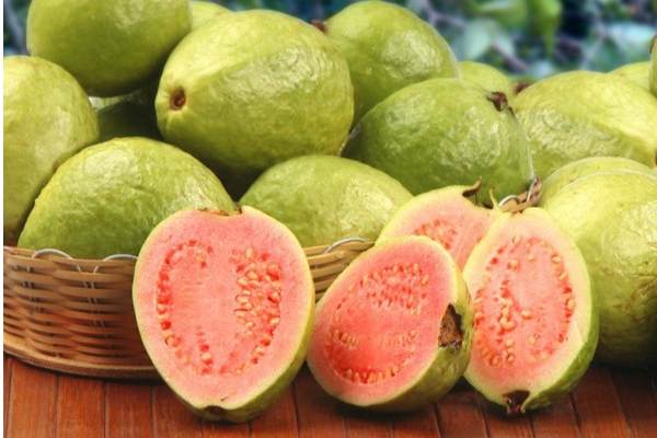 சர்க்கரை அளவை எளிதாக கட்டுப்படுத்த கொய்யாவை இப்படி சாப்பிடுங்க ; நிச்சயம் பலன் கிடைக்கும் | Eat Guava This Way To Easily Control Blood Sugar சர்க்கரை அளவை எளிதாக கட்டுப்படுத்த கொய்யாவை இப்படி சாப்பிடுங்க ; நிச்சயம் பலன் கிடைக்கும் | Eat Guava This Way To Easily Control Blood Sugar