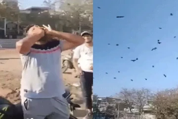 ஒரே ஒரு சத்தம்! ஒன்றுகூடிய காக்கைகள்- ஆச்சரியத்தில் மூழ்கடிக்கும் வைரல் வீடியோ