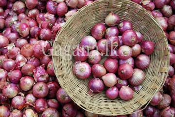 මෙරටට ලොකු ළූණු මිලෙහි වෙනසක්.