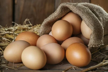 நாடளாவிய ரீதியில் முட்டை விநியோகம் இடை நிறுத்தம்! உடன் நடைமுறை