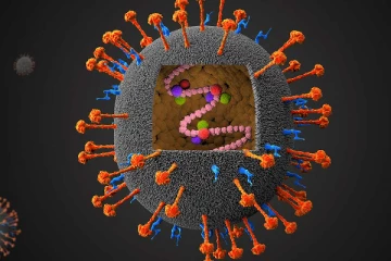 கேரளாவில் புதிய வைரஸால் இருவர் பலி